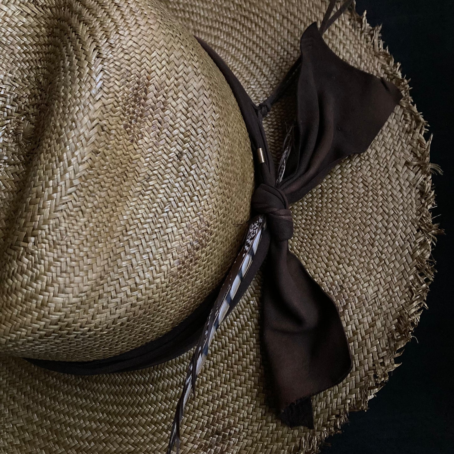 Dark grass western panama