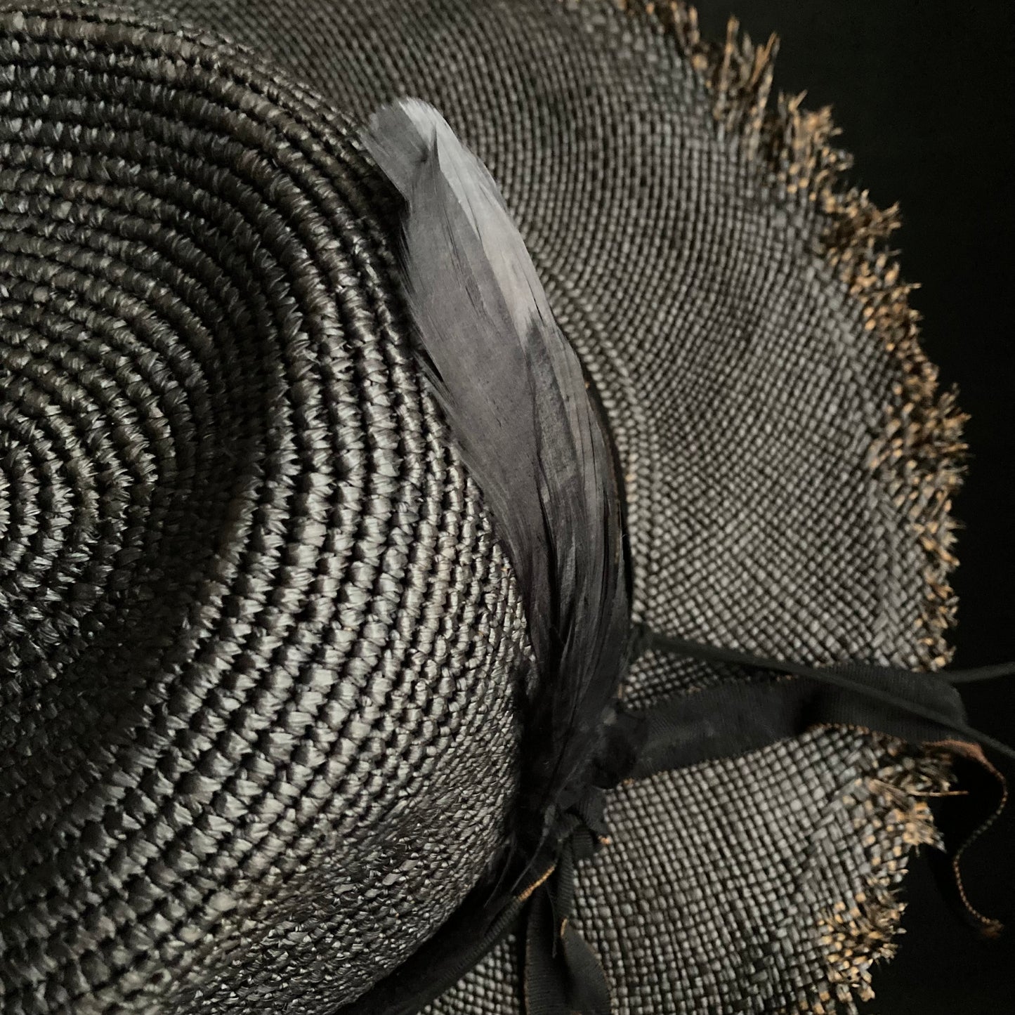 Jet black feather fedora panama