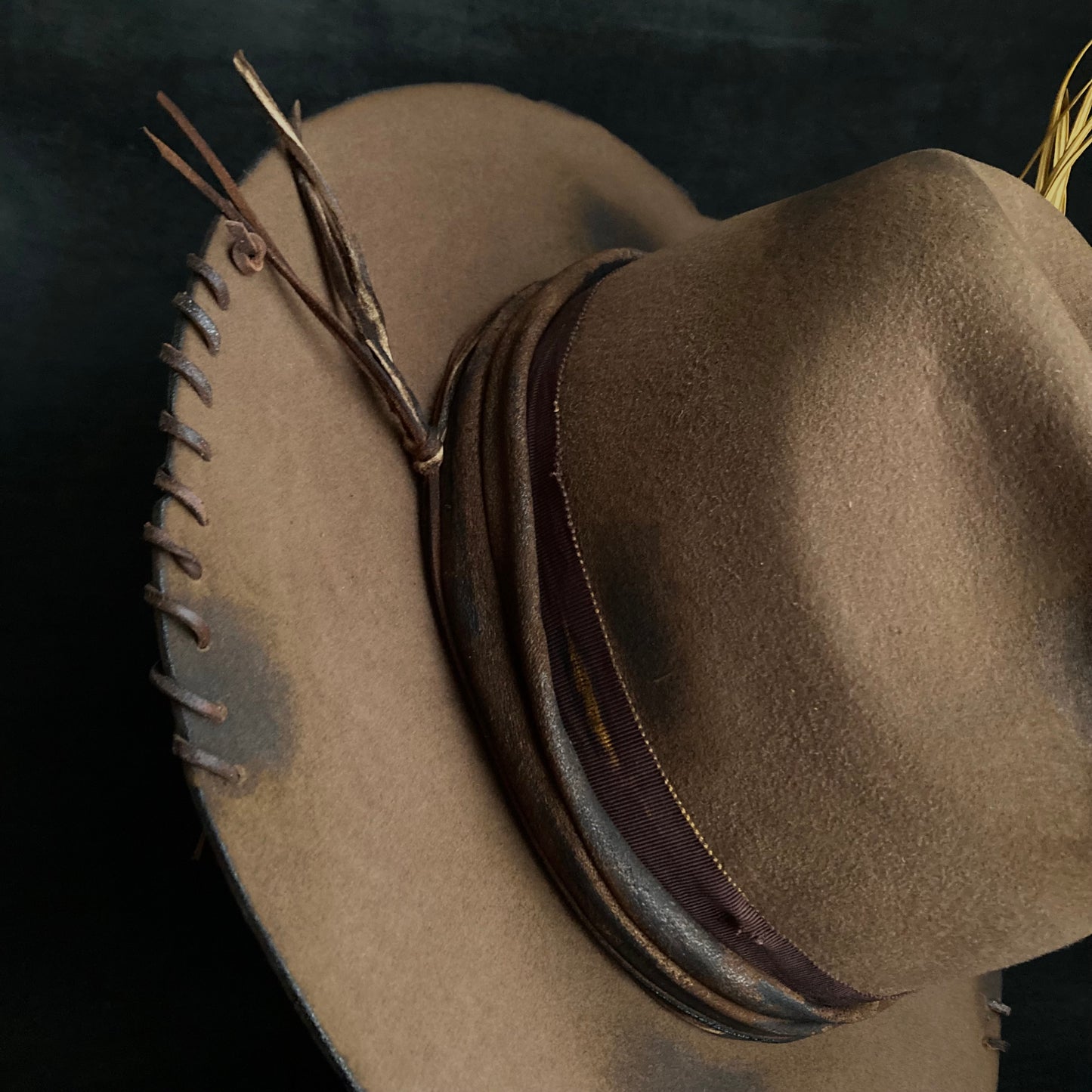 Well plants western hat