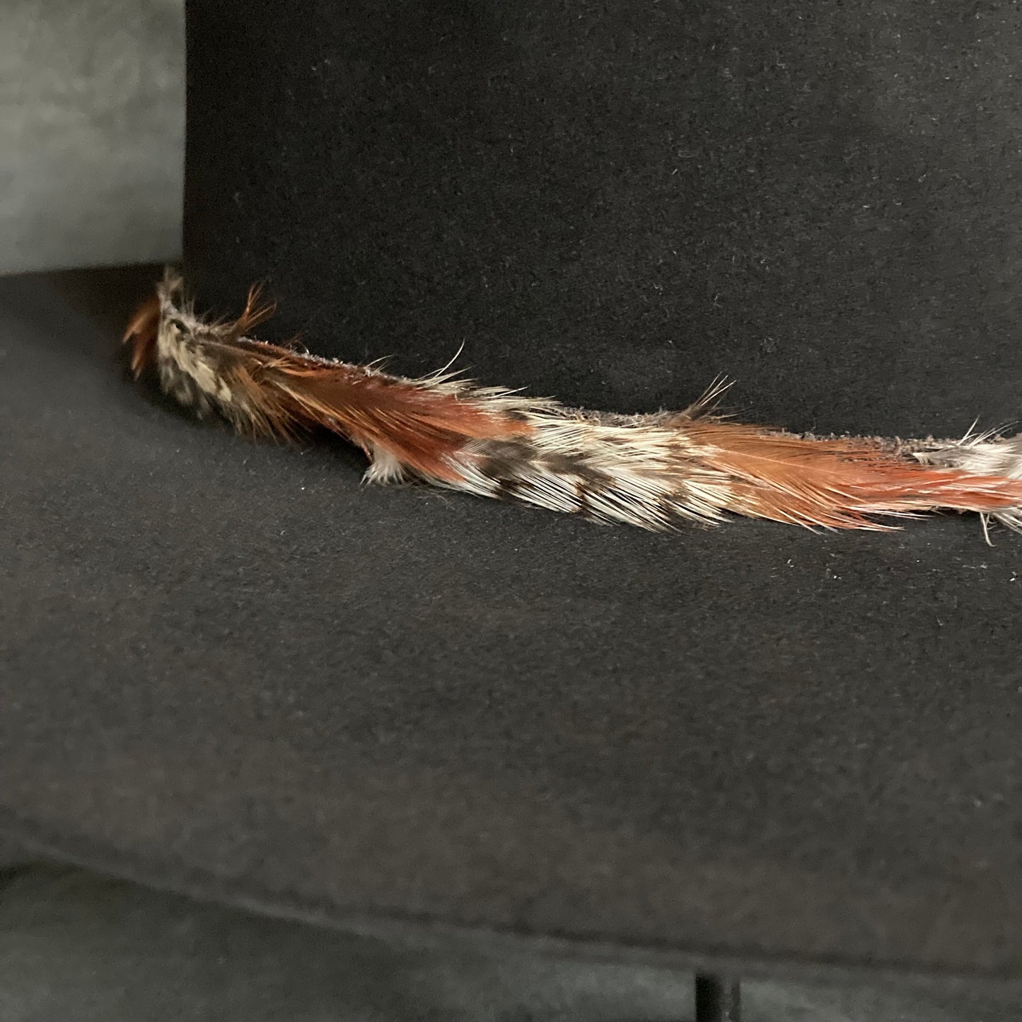 Black beaver feather flat hat