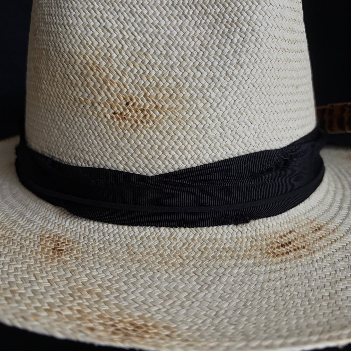 Ember fedora panama hat