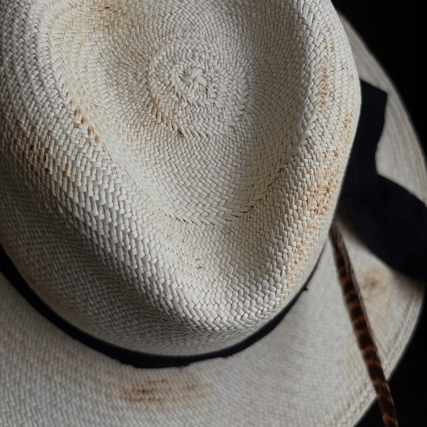 Ember fedora panama hat