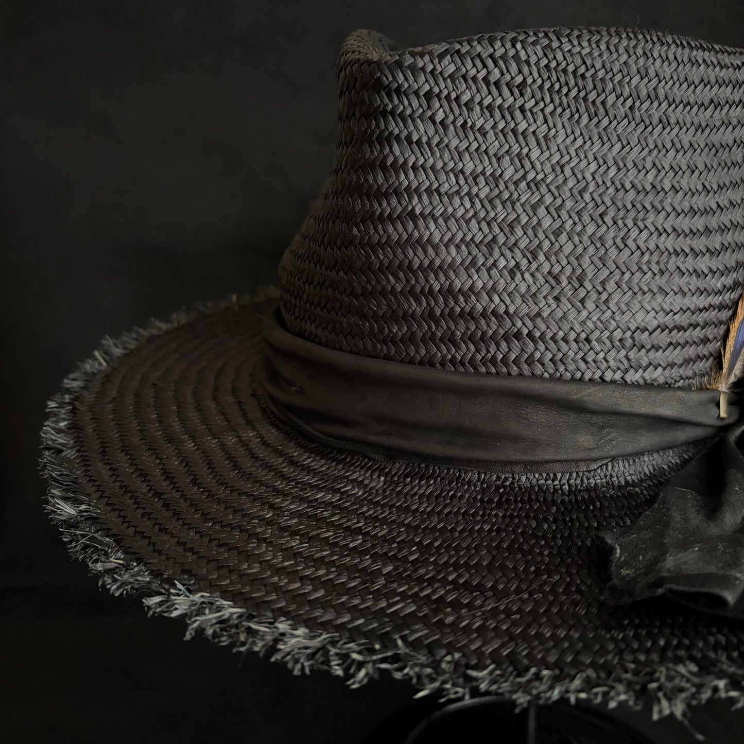 Stray black fedora panama hat