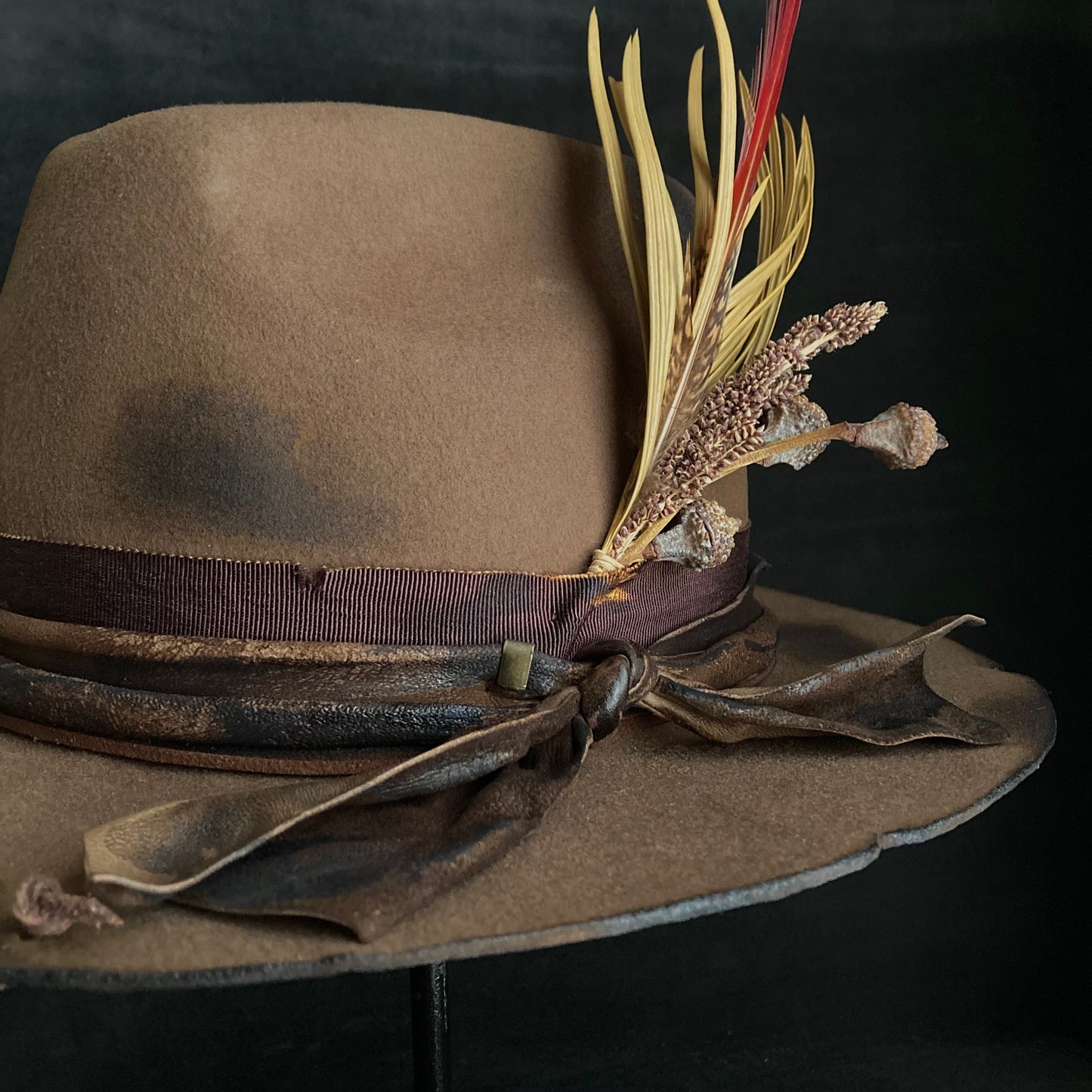 Well plants western hat