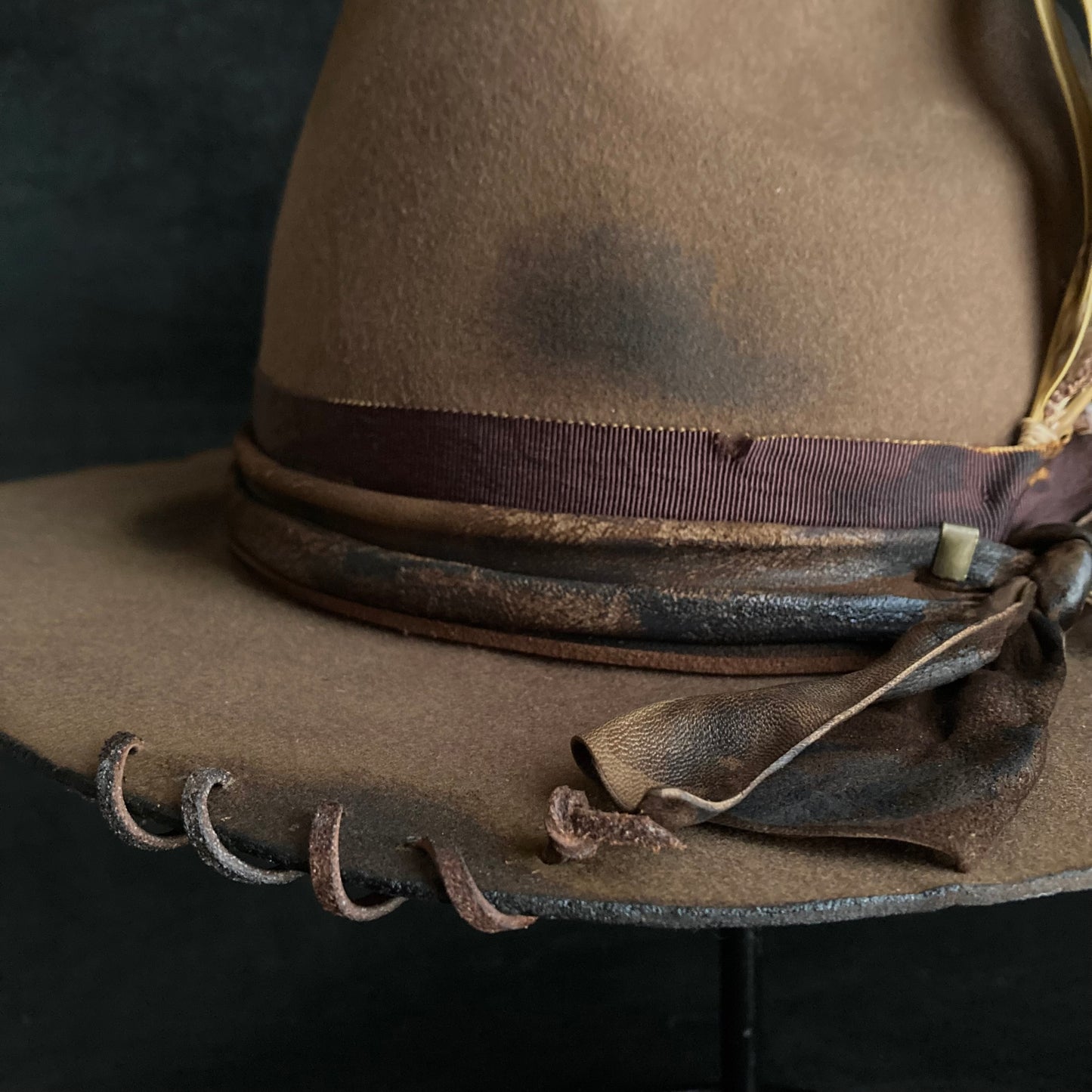 Well plants western hat