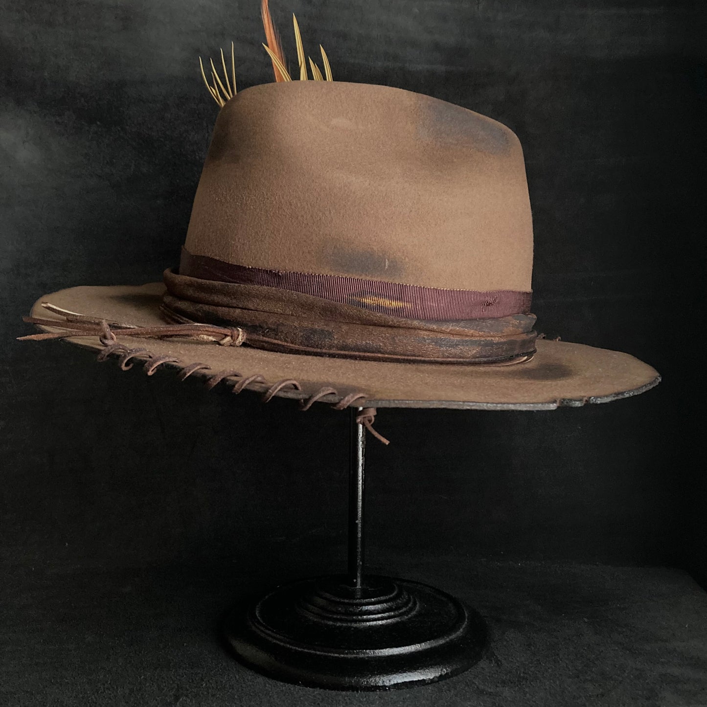 Well plants western hat