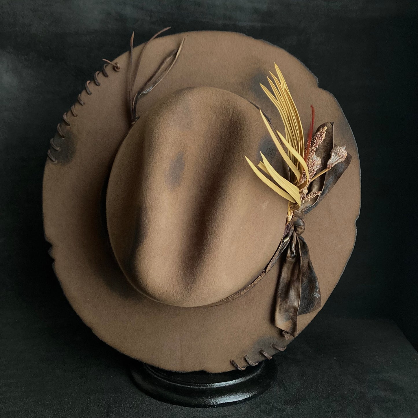 Well plants western hat